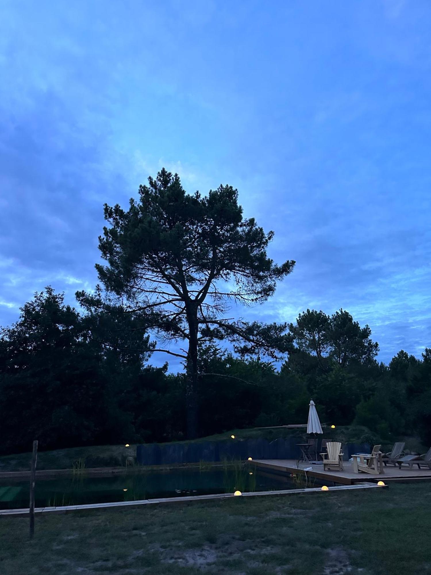 Maison Magnolia Onesse-et-Laharie Buitenkant foto