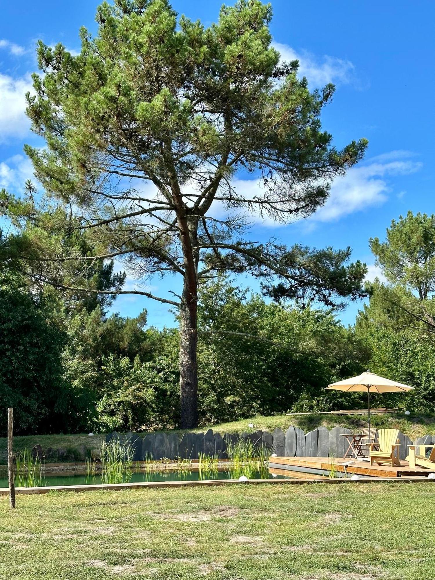Maison Magnolia Onesse-et-Laharie Buitenkant foto